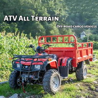 Quad 250CC 4x4 tout-terrain, véhicule utilitaire agricole, buggy 4 roues, pour adulte, plage, sable, désert, course