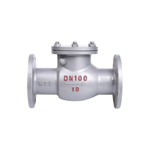 Обратный поворотный клапан ANSI/DN500/фланцевый/для атомной энергетики/паровой/углеродистый/чугунный/нержавеющая сталь/по низкой цене - Product Image 3