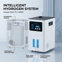 Machine d'inhalation d'hydrogène SPE PEM à haute stabilité, 3000 ml/min, pureté de 99,99 %, conception autonome, système d'exploitation facile en anglais