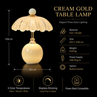 Lampe de table colorée en fer et acrylique, centre de table coloré pour coiffeuse de mariée, table de maquillage portable, vanité de mariage et de fête