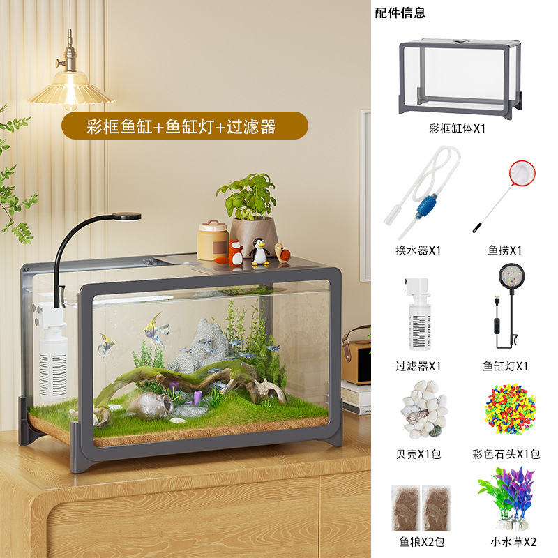 Filtro grigio, piante acquatiche, pietre colorate, conchiglie