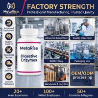 Green Elixir OEM Probiotiques en Capsules Milliards d'UFC Complexe d'Enzymes Digestives Végétaliennes à Base de Champignons 30/60 Comprimés Durée de Conservation de 24 Mois pour