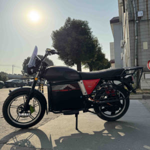 SINSKI Heavy Load Motorcycle 200kg Moto 72v Long Range for Africa Delivery - Product Image 5
