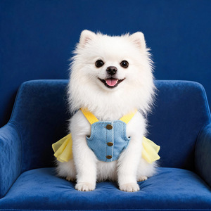 PETCIRCLE Pet Circle Spring/Summer Dog & Cat <b>Cute</b> Pet Suspenders with Leash and Honey <b>Bear</b> Denim Skirt - Product Image 2