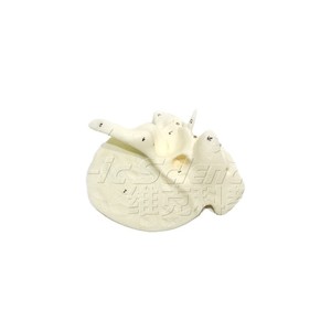 Fournisseur direct d'usine de modèle d'os temporel humain à l'échelle 5x avec structure de cavité tympanique détachable pour l'anatomie médicale - Product Image 5