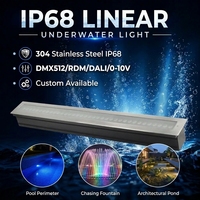 Lampu LED Bawah Air Stainless Steel SS304 IP68 Linear untuk Kolam dan Lampu Kolam Renang 24V