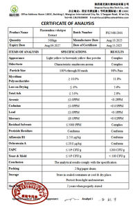 Saf Altın İğne Mantarı Ekstresi, %10 Miselyum Polisakkaritleri, Laboratuvarla Doğrulanmış Etkili - Product Image 2