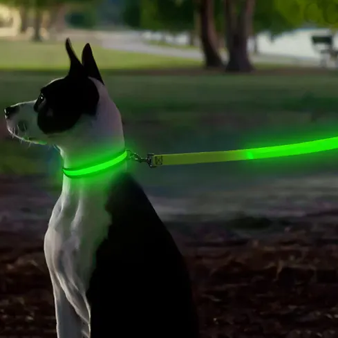 輝くLed犬の鎖Usb充電式ペット犬点滅ナイロンウェビングリーシュ-3つの照明モードはあなたのペットを暗闇の中で安全に保ちます