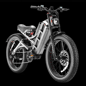 Precio al por mayor Eahora Romeo Ultra SHIMANO 7 velocidades Guardabarros delanteros y traseros de plástico Batería de litio de 60V 70AH Bicicleta eléctrica - Product Image 6