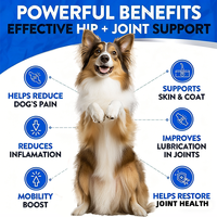 Complément alimentaire pour chiens 9-en-1 avancé pour les hanches et les articulations, glucosamine, chondroïtine, MSM, chanvre, comprimés à mâcher, 170 unités, saveur poulet