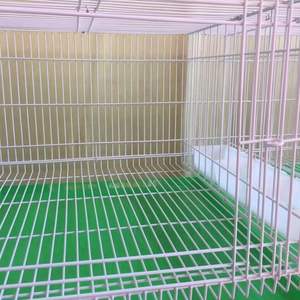 <span class=keywords><strong>Cage</strong></span> à oiseaux de grande taille en fer haut de gamme avec plateau en plastique pour pigeons voyageurs, colombier, <span class=keywords><strong>design</strong></span> moderne - Product Image 3