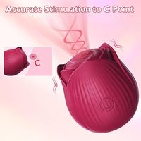Nouveauté Amazon : Vibrateur Rose à 10 Fréquences et Recharge Magnétique pour Femmes - Produit Adulte