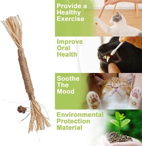 Juguetes para gatos, dientes de hierba gatera interactiva para interiores naturales, juguete para masticar gatos, palo Matatabi para gatos - Product Image 3