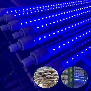 방수 T8 18W 400-500 <span class=keywords><strong>NM</strong></span> 400NM 440NM 450NM 블루 주도 성장 튜브 빛 버섯 - Product Image 4