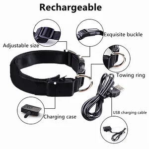 Collar Led antipérdida para perros y cachorros, Accesorios luminosos de noche para mascotas, carga USB/batería