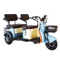 Prix de gros tricycle électrique tricycle cargo pratique trois roues cyclomoteur pour la location de sites touristiques
