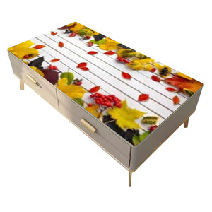 Modernes Design Rutsch feste Lacer PP Kunststoff Rechteck Tischdecke Wasserdichte Party Tischdecke für Matten & Pads - Product Image 1