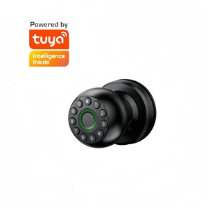 एल्यूमीनियम मिश्र धातु स्मार्ट फिंगरप्रिंट लॉक क्रॉस-सीमा पार दरवाजे के लिए लॉक ट्यूया ऐप - Product Image 2