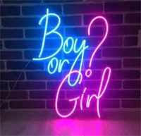 Meilleures ventes, nouveauté, révélation de sexe, fournitures de fête personnalisées au néon, panneaux muraux décoratifs en acrylique, néons à LED, enseignes personnalisées