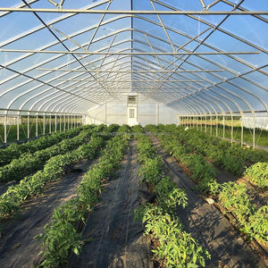 Agricultura Single Span Germinación Sandía Invernadero Material Perfil Aire acondicionado Techo curvo <span class=keywords><strong>Lechuga</strong></span> Invernadero para la venta - Product Image 3