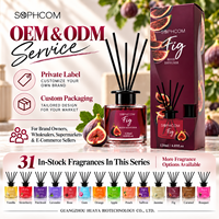 Diffuseur de parfum d'ambiance à bâtonnets en verre pour la maison, bâtonnets en fibre, fournisseur en gros, marque privée, direct usine