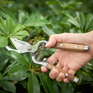 Sécateur Principe 2 Lames Se Croisent Des Coupes De Précision à Vie Bois Poignée Ergonomique Sécateur de Jardin