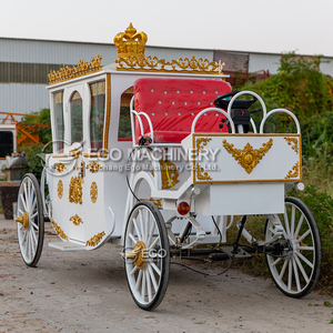 Calèche royale électrique 2025 – Calèche de tourisme royale de haute qualité – Produits de calèches élégants – Calèche électrique royale Platinum - Product Image 5