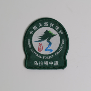 Dog Paw Pet Lover Parches bordados personalizados Iron On Coser para chaquetas de equipo para mascotas - Product Image 4
