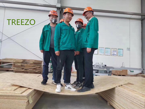 Línea de producción de tablero Osb de alta calidad que hace la máquina tablero de partículas de pino barato al por mayor - Product Image 6