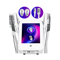 Appareil de beauté multifonctionnel portable 2 en 1 pour la stimulation musculaire EMS et la micro-vibration, rouleau interne pour sculpter le corps et amincir