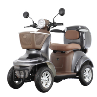 Bicicleta Eléctrica de 4 Ruedas, Venta Directa de Fábrica, Scooter Eléctrico de Cuatro Ruedas de Alta Calidad de un Fabricante Profesional
