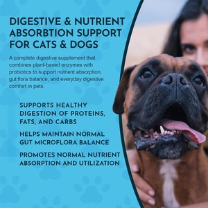 Golosinas Masticables de Vitamina D y Calcio de Marca Privada ODM/OEM para Perros y Gatos con Digestión Sensible - Buenas para la Salud Intestinal - Product Image 5
