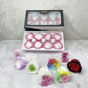 Cabezas de flores preservadas para arreglo floral, arcoíris eterno, Rosa real, novedad de 2022