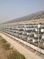 Système de culture hydroponique en conteneur agricole, tente de culture pour plantes