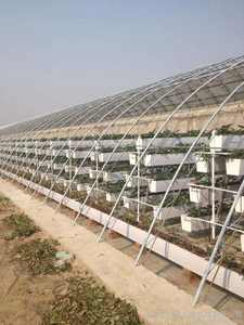 Système de <span class=keywords><strong>culture</strong></span> <span class=keywords><strong>hydroponique</strong></span> en conteneur agricole, <span class=keywords><strong>tente</strong></span> de <span class=keywords><strong>culture</strong></span> pour plantes - Product Image 6