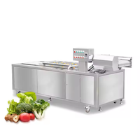 Dezoton Industriële Fruit Groente Wasmachine 304 Roestvrijstalen Wasmachine voor Kantine Centrale Keuken 220V 380V Eenvoudig te bedienen