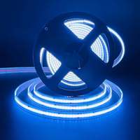 Bande lumineuse LED COB IP68 étanche DC12V 24V WS2811 WS2812B de qualité architecturale commerciale 576 LED/m, pixel adressable RGB