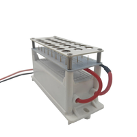 Upgraded Negative Ionizer Air Purifier 12V/110V/220V Plasma Generator Remove Smoke & Dust Efficiently
