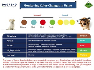 Almohadillas Indicadoras de Salud para Perros Desechables al por Mayor con Función de Cambio de Color - Product Image 2