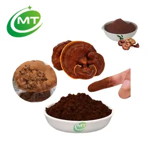 Hochwertiges natürliches organisches reines Ganoderma lucidum Reishi Shell gebrochenes Sporenpulver