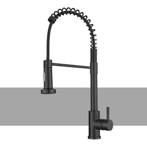 304 SS Brass Single Lever Spring Kitchen Sink Faucet <b>Brushed</b> Nickel-colored Two-function Kitchen Spring American-style Faucet - Product Image 2