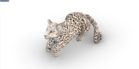 Léopard modèle publicité événements gonflable réplique guépard mascotte animal pour la décoration