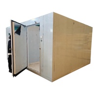 Panneaux d'isolation PU PIR chambre froide industrielle stockage de fruits refroidisseurs de plain-pied en vente congélateur extérieur de plain-pied