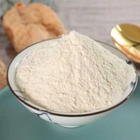 Extrait de graines de haricot blanc en poudre, qualité alimentaire, en emballage en fût
