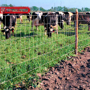Clôture galvanisée plongée <span class=keywords><strong>à</strong></span> chaud/Galfan en fil d'acier Clôture métallique tissée pour le bétail et l'agriculture Clôture pour vaches - Product Image 1