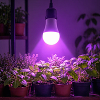 Ampoule LED pour culture de plantes à faible EMF, rouge et bleue, à intensité variable, sans scintillement, 120V E26, lumière pour plantes d'intérieur