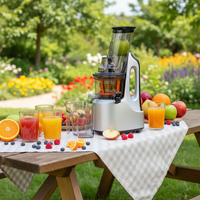 Groothandel Commerciële Multifunctionele RVS Elektrische Automatische Fruit Slow Juicer