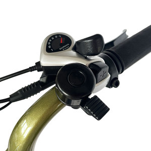 โปรโมชั่นลดราคาจักรยานไฟฟ้าล้อโตแบบ Step Thru รุ่น Ou Xi E Bike 250W ราคาถูกจากจีน ATV08 จักรยานไฟฟ้าจีน - Product Image 4