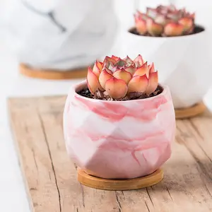 Nordic pot bunga sukulen marmer batu desktop pot bunga rumah pot bunga kreatif Harga Rendah grosir