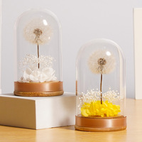 TC venta al por mayor diente de león natural flores preservadas cúpula de cristal decoración del hogar para regalo del Día de San Valentín para novia esposa mamá